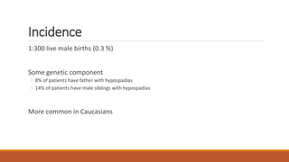 Incidence
1:300 live male births (0.3 %)
Some genetic component
◦ 8% of patients have father with hypospadias
◦ 14% of patients have male siblings with hypospadias
More common in Caucasians
 