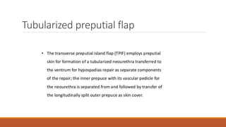 Tubularized preputial flap
 