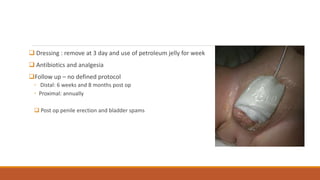  Dressing : remove at 3 day and use of petroleum jelly for week
 Antibiotics and analgesia
Follow up – no defined protocol
◦ Distal: 6 weeks and 8 months post op
◦ Proximal: annually
 Post op penile erection and bladder spams
 