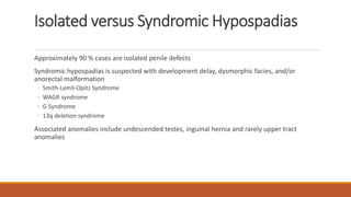 Isolated versus Syndromic Hypospadias
Approximately 90 % cases are isolated penile defects
Syndromic hypospadias is suspected with development delay, dysmorphic facies, and/or
anorectal malformation
◦ Smith-Lemli-Opitz Syndrome
◦ WAGR syndrome
◦ G Syndrome
◦ 13q deletion syndrome
Associated anomalies include undescended testes, inguinal hernia and rarely upper tract
anomalies
 