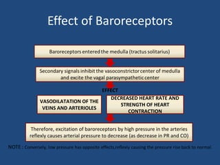 Effect of Baroreceptors 
EFFECT 
VASODILATATION OF THE 
VEINS AND ARTERIOLES 
DECREASED HEART RATE AND 
STRENGTH OF HEART 
CONTRACTION 
Therefore, excitation of baroreceptors by high pressure in the arteries 
reflexly causes arterial pressure to decrease (as decrease in PR and CO) 
 