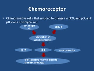 Chemoreceptor 
• Chemosensitive cells that respond to changes in pCO2 and pO2 and 
pH levels (Hydrogen ion). 
pO2 and pH  
pCO2 
 
Stimulation of 
vasomotor center 
CO  HR vasoconstriction 
BP (speeding return of blood to 
the heart and lungs) 
 
