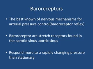Baroreceptors 
• The best known of nervous mechanisms for 
arterial pressure control(baroreceptor reflex) 
• Baroreceptor are stretch receptors found in 
the carotid sinus ,aortic sinus 
• Respond more to a rapidly changing pressure 
than stationary 
 