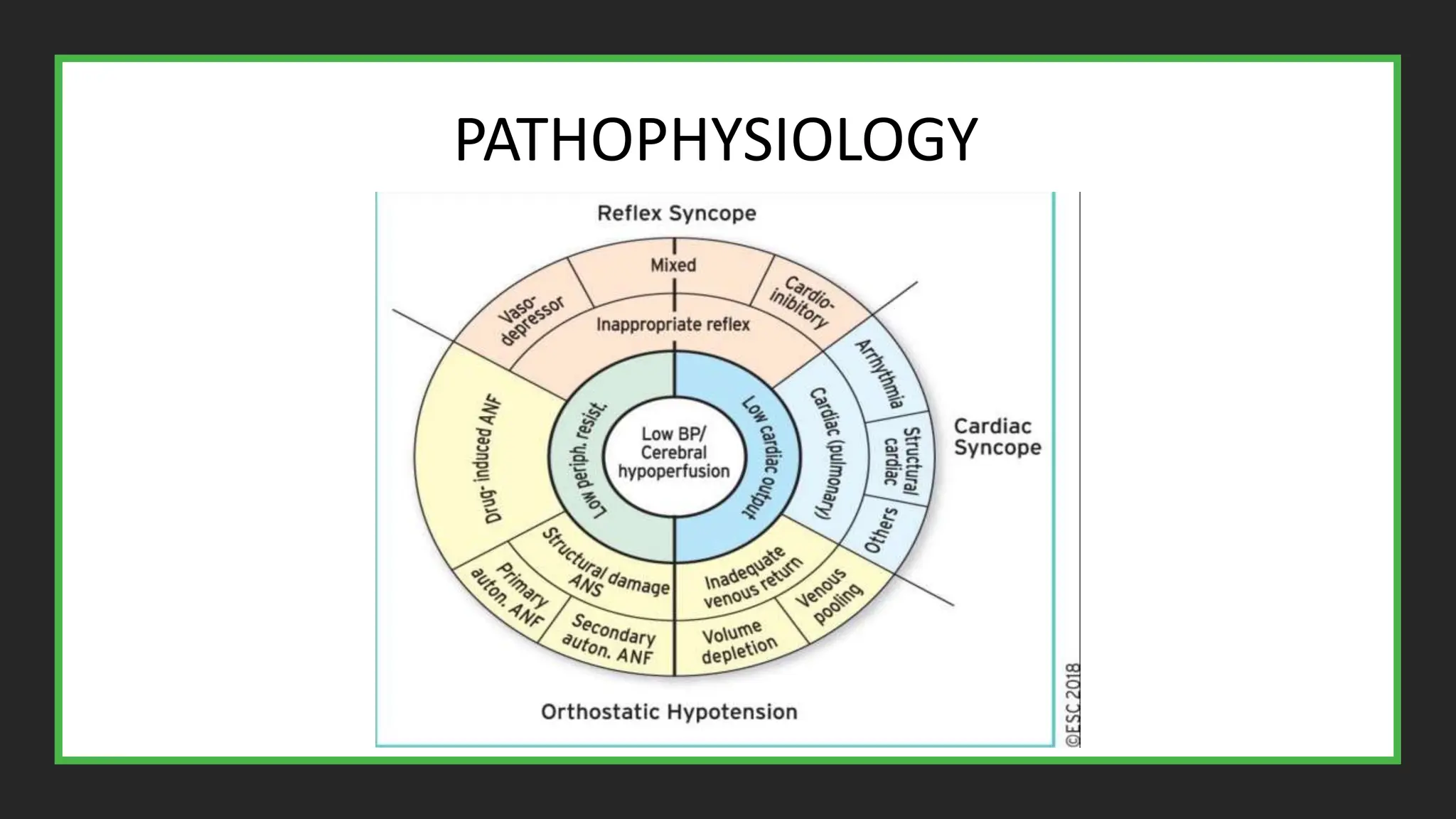 HYPOTENSION AND SYNCOPE CALISON FINAL. pptx | PPTX