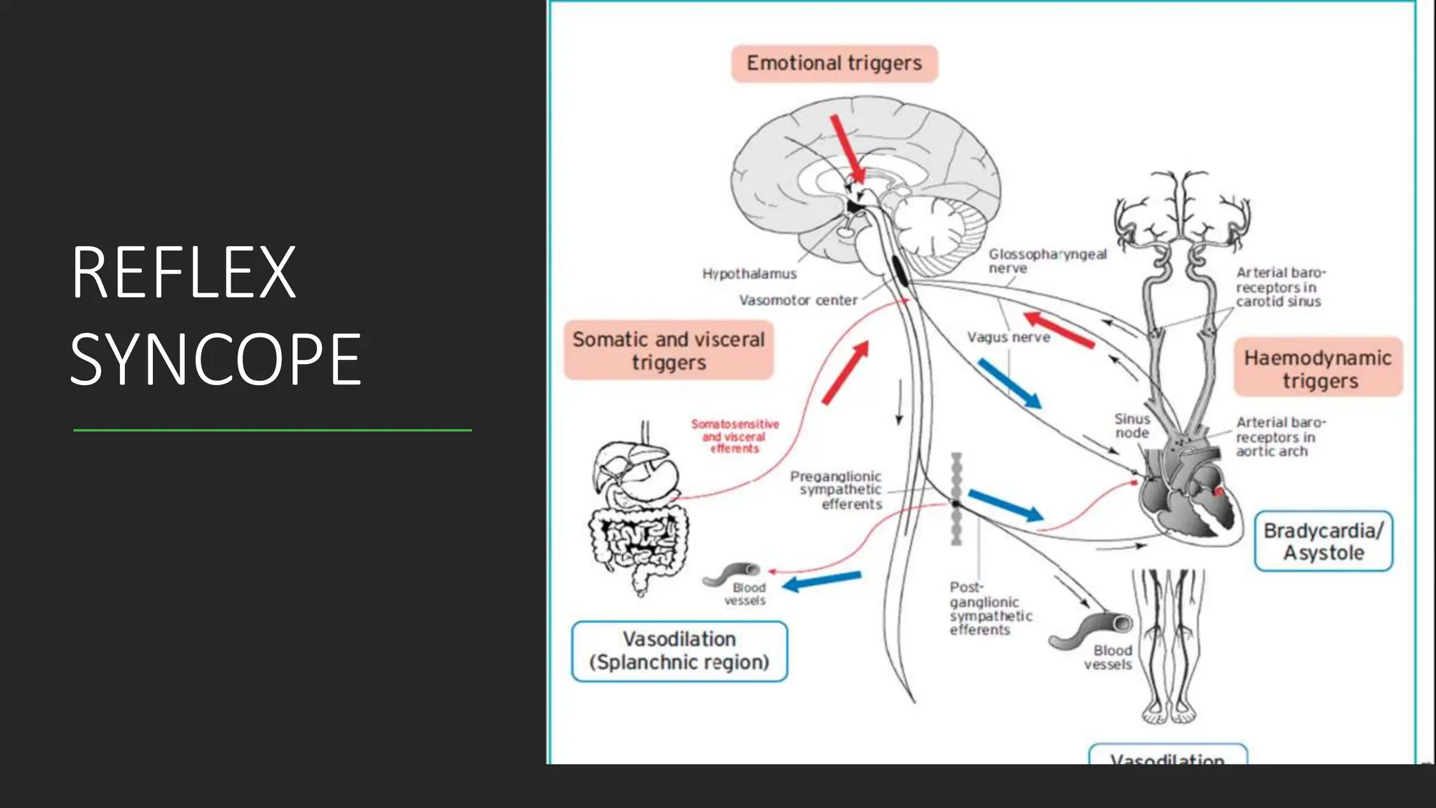 HYPOTENSION AND SYNCOPE CALISON FINAL. pptx | PPTX