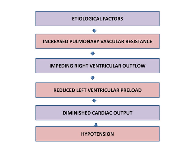 hypotension ppt.pptx | Heart and Cardiovascular Diseases | Diseases and ...