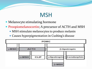 HYPOTHALAMIC AND PITUITARY HORMONES [Autosaved].pptx