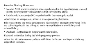 Posterior Pituitary Hormones
• Secretes ADH and oxytocin hormones synthesized in the hypothalamus released
into the neurohypophyseal capillaries that surround the gland.
• Antidiuretic hormone (ADH) -synthesized in the supraoptic nuclei.
Also known as vasopressin, acts as a water-preserving hormone.
It is released into the blood circulation to vasoconstrict and reabsorbs water from
the collecting duct in the kidney to maintain equilibrium intracellularly and
extracellularly.
• Oxytocin -synthesized in the paraventricular nuclei.
Excreted in females during the birth/pregnancy process.
Allow the uterus to contract, release milk from the breast, and is present during
ejaculation in males.
 
