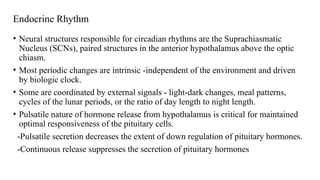 Endocrine Rhythm
• Neural structures responsible for circadian rhythms are the Suprachiasmatic
Nucleus (SCNs), paired structures in the anterior hypothalamus above the optic
chiasm.
• Most periodic changes are intrinsic -independent of the environment and driven
by biologic clock.
• Some are coordinated by external signals - light-dark changes, meal patterns,
cycles of the lunar periods, or the ratio of day length to night length.
• Pulsatile nature of hormone release from hypothalamus is critical for maintained
optimal responsiveness of the pituitary cells.
-Pulsatile secretion decreases the extent of down regulation of pituitary hormones.
-Continuous release suppresses the secretion of pituitary hormones
 