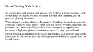 Effect of Pituitary Stalk Section
• As the pituitary stalk contains the axons of the posterior pituitary neurons, stalk
section leads to atrophy and loss of neuron function and, therefore, loss of
posterior pituitary hormones.
• While anterior pituitary, although deprived of blood from the median eminence,
continues to receive some arterial input from the inferior hypophyseal artery and,
therefore, can maintain viability and continue to respond to hypothalamic
hormones if high enough concentrations are achieved in peripheral blood.
• Serum prolactin concentrations increase after pituitary stalk division because the
lactotrophs in the anterior pituitary no longer receive inhibitory signals from the
hypothalamus.
 