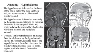 Anatomy –Hypothalamus
• The hypothalamus is located at the base
of the brain, below the third ventricle
and just above the optic chiasm and
pituitary gland
• The hypothalamus is bounded anteriorly
by the optic chiasm, laterally by the sulci
formed with the temporal lobes, and
posteriorly by the mammillary bodies (in
which the mammillary nuclei are
located).
• Dorsally, the hypothalamus is delineated
from the thalamus by the hypothalamic
sulcus. The smooth, rounded base of the
hypothalamus is the tuber cinereum; the
pituitary stalk descends from its central
region, which is termed the median
eminence.
 