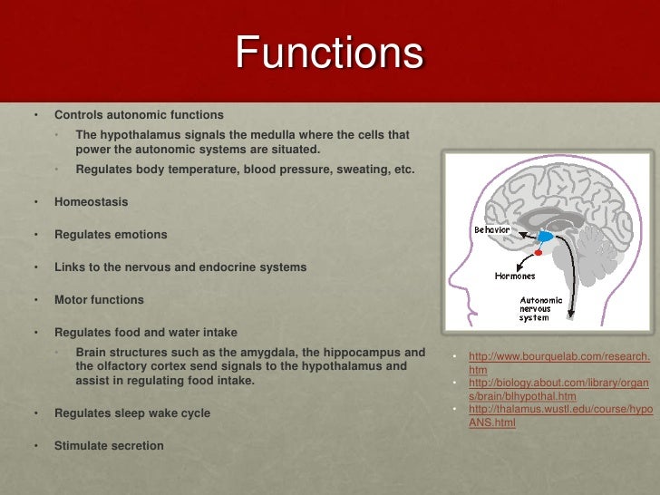 The Function And Functions Of Homeostasis