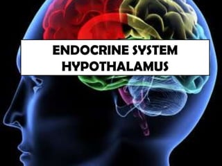 ENDOCRINE SYSTEM
 HYPOTHALAMUS
 
