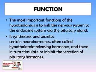 FUNCTION
• The most important functions of the
  hypothalamus is to link the nervous system to
  the endocrine system via the pituitary gland.
• It synthesizes and secretes
  certain neurohormones, often called
  hypothalamic-releasing hormones, and these
  in turn stimulate or inhibit the secretion of
  pituitary hormones.
 