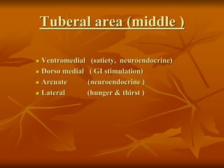 Tuberal area (middle )
 Ventromedial (satiety, neuroendocrine)
 Dorso medial ( GI stimulation)
 Arcuate (neuroendocrine )
 Lateral (hunger & thirst )
 
