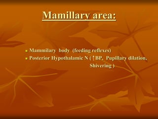 Mamillary area:
 Mammilary body (feeding reflexes)
 Posterior Hypothalamic N ( BP, Pupillary dilation,
Shivering )
 