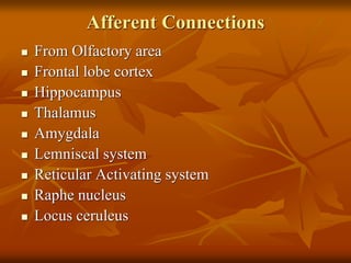 Afferent Connections
 From Olfactory area
 Frontal lobe cortex
 Hippocampus
 Thalamus
 Amygdala
 Lemniscal system
 Reticular Activating system
 Raphe nucleus
 Locus ceruleus
 
