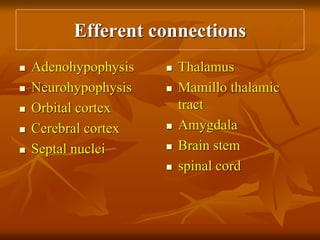 Efferent connections
 Adenohypophysis
 Neurohypophysis
 Orbital cortex
 Cerebral cortex
 Septal nuclei
 Thalamus
 Mamillo thalamic
tract
 Amygdala
 Brain stem
 spinal cord
 