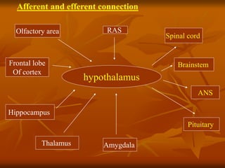 hypothalamus
Olfactory area
Frontal lobe
Of cortex
Hippocampus
Thalamus
RAS
Amygdala
Spinal cord
Brainstem
ANS
Pituitary
Afferent and efferent connection
 