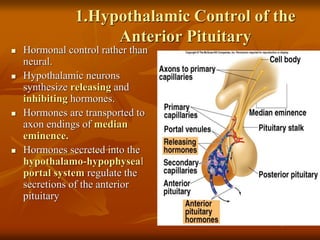 1.Hypothalamic Control of the
Anterior Pituitary
 Hormonal control rather than
neural.
 Hypothalamic neurons
synthesize releasing and
inhibiting hormones.
 Hormones are transported to
axon endings of median
eminence.
 Hormones secreted into the
hypothalamo-hypophyseal
portal system regulate the
secretions of the anterior
pituitary
 