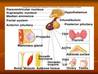Pituitary Hormones
 