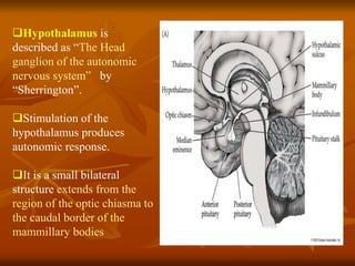 Hypothalamus is
described as “The Head
ganglion of the autonomic
nervous system” by
“Sherrington”.
Stimulation of the
hypothalamus produces
autonomic response.
It is a small bilateral
structure extends from the
region of the optic chiasma to
the caudal border of the
mammillary bodies
 