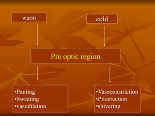 Pre optic region
warm cold
•Panting
•Sweating
•vasodilation
•Vasoconstriction
•Piloerection
•shivering
 