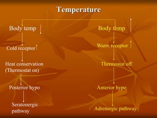 Temperature
Body temp
Cold receptor
Heat conservation
(Thermostat on)
Posterior hypo
Seratonergic
pathway
Body temp
Warm receptor
Thermostat off
Anterior hypo
Adrenergic pathway
 