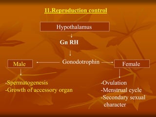 11.Reproduction control
Hypothalamus
Gn RH
GonodotrophinMale
-Spermatogenesis
-Growth of accessory organ
Female
-Ovulation
-Menstrual cycle
-Secondary sexual
character
 