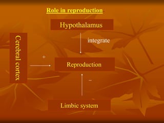 Role in reproduction
Reproduction
Hypothalamus
Limbic system
Cerebralcortex
+
_
integrate
 