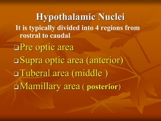 Hypothalamic Nuclei
It is typically divided into 4 regions from
rostral to caudal
Pre optic area
Supra optic area (anterior)
Tuberal area (middle )
Mamillary area ( posterior)
 