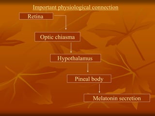 Retina
Optic chiasma
Hypothalamus
Pineal body
Melatonin secretion
Important physiological connection
 