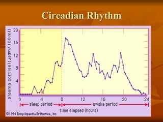 Circadian Rhythm
 
