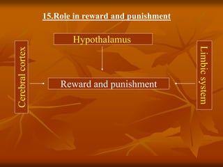 Hypothalamus
Reward and punishment
Cerebralcortex
Limbicsystem
15.Role in reward and punishment
 