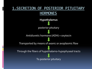 2. CONTROL OF ANTERIOR PITUITARY
Hypothalamus
Releasing Hormones (5) And Inhibitory
Hormones (2)
seven hormones
 