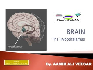 The Hypothalamus
By. AAMIR ALI VEESAR
Visit us:
w w w . S t u d y Q u i c k l y . m l
 