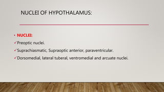 NUCLEI OF HYPOTHALAMUS:
• NUCLEI:
Preoptic nuclei.
Suprachiasmatic, Supraoptic anterior, paraventricular.
Dorsomedial, lateral tuberal, ventromedial and arcuate nuclei.
 