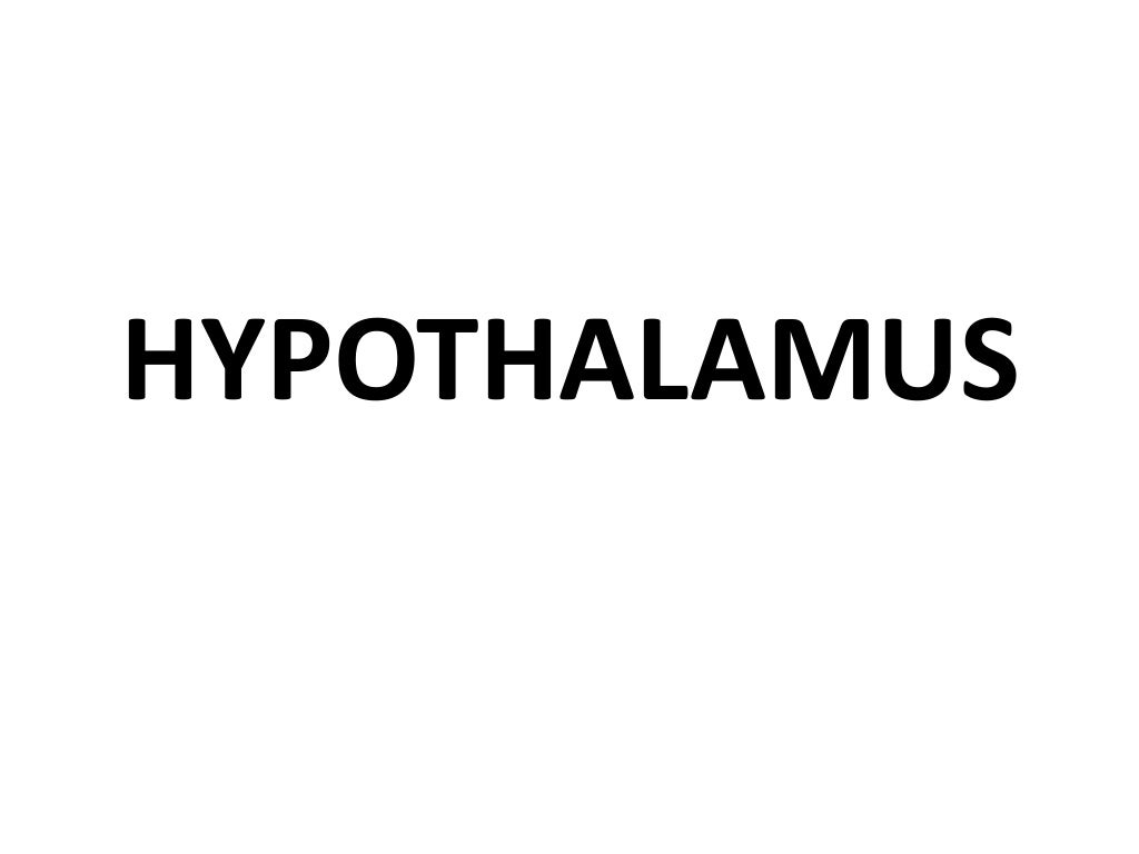 Hypothalamus.pptx