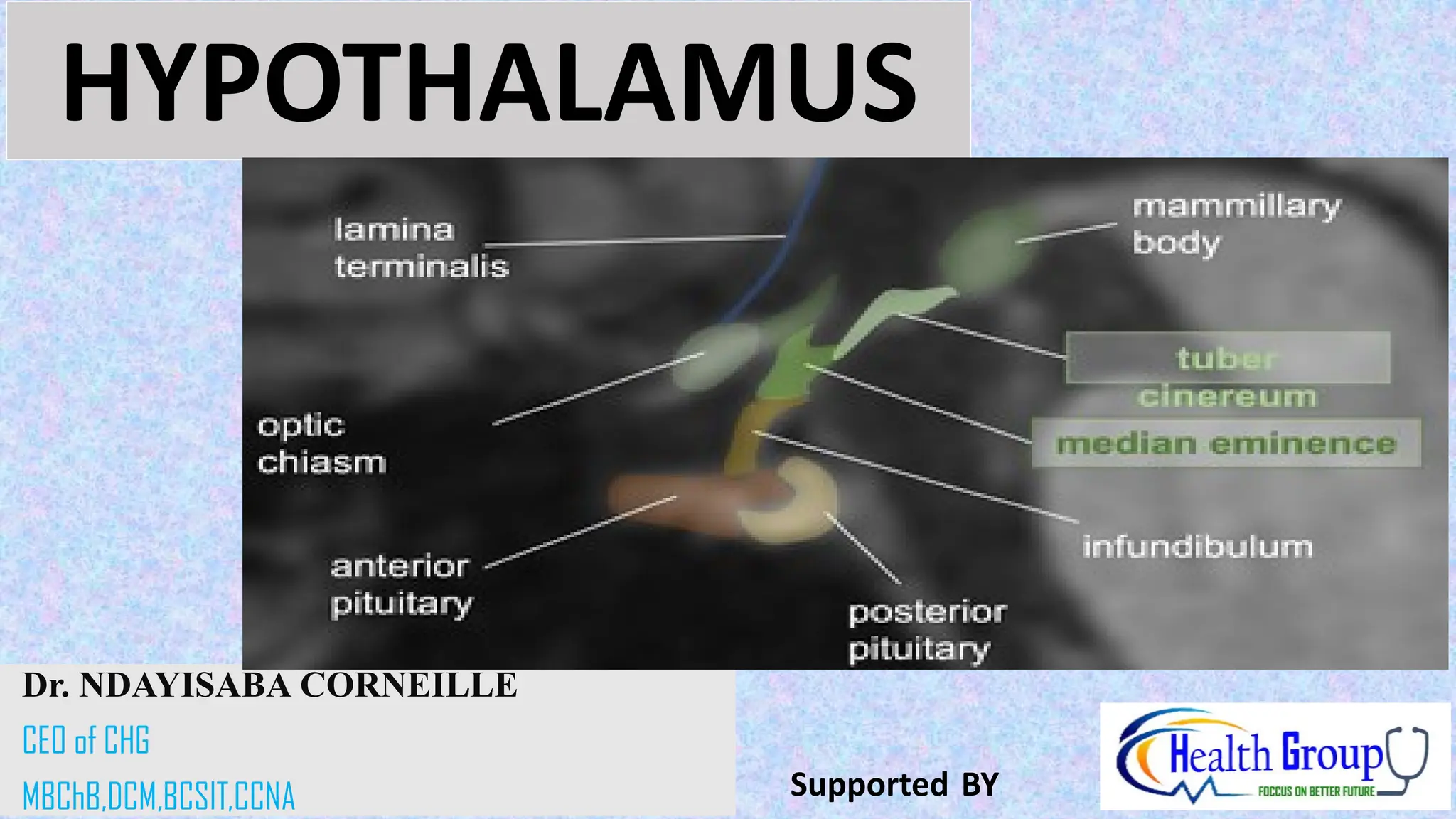ANATOMY and PHYSIOLOGY _OF _HYPOTHALAMUS | PPT