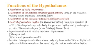 Comprehensive Overview of Hypothalamic Structure and Functions in Human ...