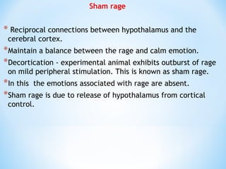 Comprehensive Overview of Hypothalamus: Anatomy, Functions, and ...
