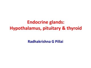Endocrine glands:
Hypothalamus, pituitary & thyroid
Radhakrishna G Pillai
 