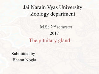 Jai Narain Vyas University
Zoology department
M.Sc 2nd semester
2017
The pituitary gland
Submitted by
Bharat Nogia
 