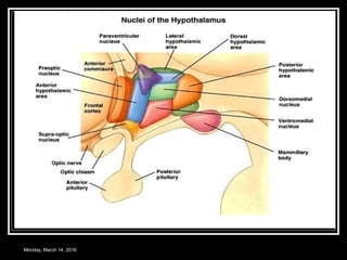 Monday, March 14, 2016
 