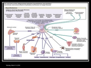 Monday, March 14, 2016
 