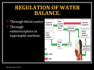 REGULATION OF WATER
BALANCE.
 Through thirst centre
 Through
osmoreceptors in
supraoptic nucleus.
Monday, March 14, 2016
 