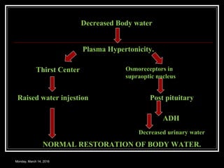 Monday, March 14, 2016
Decreased Body water
Plasma Hypertonicity.
Thirst Center Osmoreceptors in
supraoptic nucleus
Raised water injestion Post pituitary
ADH
Decreased urinary water
NORMAL RESTORATION OF BODY WATER.
 