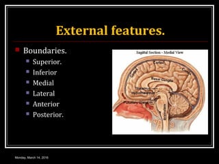 External features.
 Boundaries.
 Superior.
 Inferior
 Medial
 Lateral
 Anterior
 Posterior.
Monday, March 14, 2016
 
