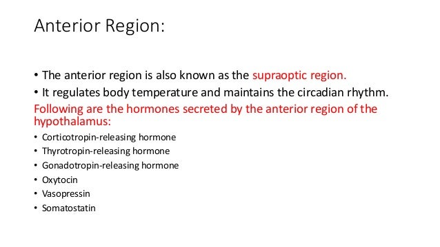 HYPOTHALAMUS AND PITUITARY GLAND pptx hypothalamus-and-pituitary-gland-pptx