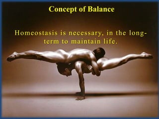 Concept of Balance

Homeostasis is necessary, in the long-
       term to maintain life.
 